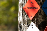 A tree trunk is adorned with various colored diamond-shaped trail markers. At least two of the markers, one red and one blue, have the word "ALDERBROOK" on them. The background is a blurred, sunlit forest.