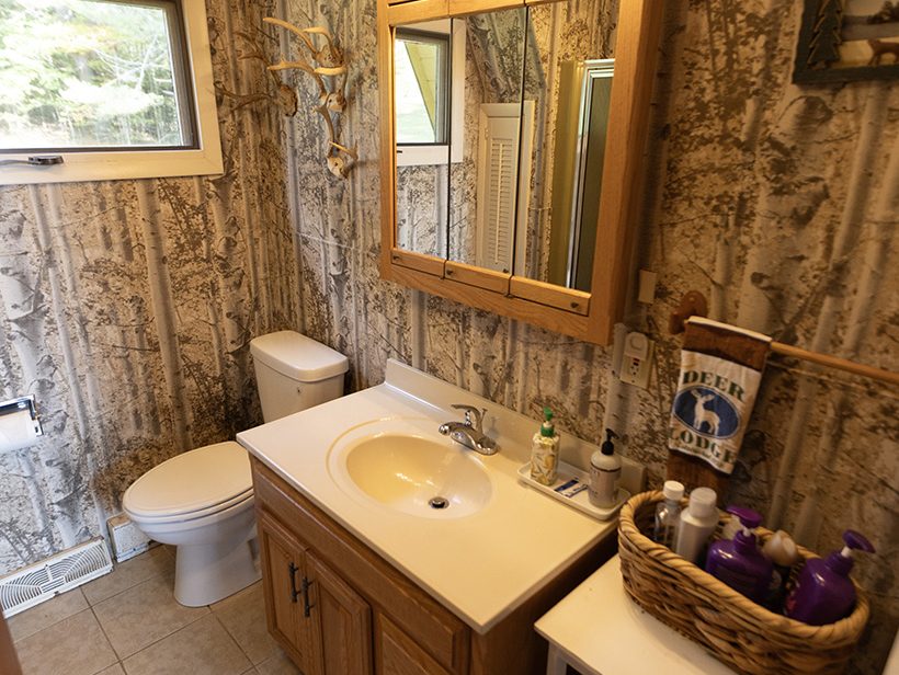 A bathroom featuring a wooden vanity with a sink and a large mirror, illuminated by multiple lights. The walls are covered with tree-themed wallpaper. A toilet is next to the vanity. Various toiletries are organized in a basket on a small shelf nearby.