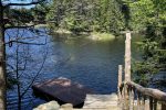 Wooden steps with a rustic railing lead down to a floating dock on a calm lake, surrounded by tall, lush trees. The sun is shining on the clear, blue water and greenery, creating a tranquil and inviting natural scene.