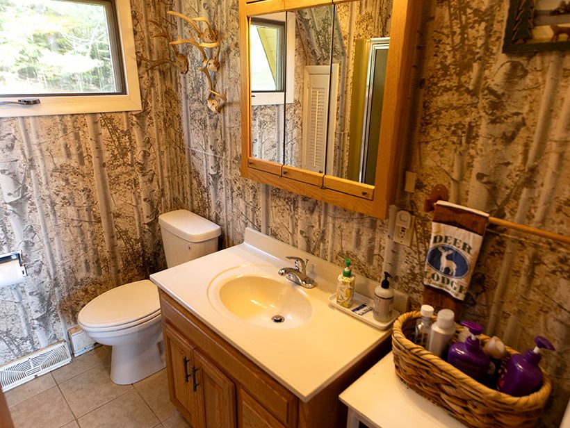 A small bathroom with patterned wallpaper resembling tree bark. It features a toilet, a wooden vanity with a white sink, and a lighted mirror. A window on the left wall provides natural light. A wicker basket on a small shelf holds toiletries.