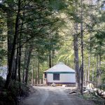 A yurt is situated in a forest, surrounded by tall, leafy trees. Sunlight filters through the canopy, casting dappled light on the dirt path leading to the yurt. There are logs and stones nearby, indicating a rustic, natural setting.