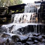 A cascading waterfall flows over a rocky ledge in a forested area. Water tumbles down multiple levels of rocks, with greenery visible in the background. The sunlight filters through the trees, illuminating the water and surrounding foliage.